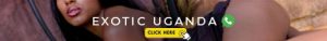 Katabi Escorts